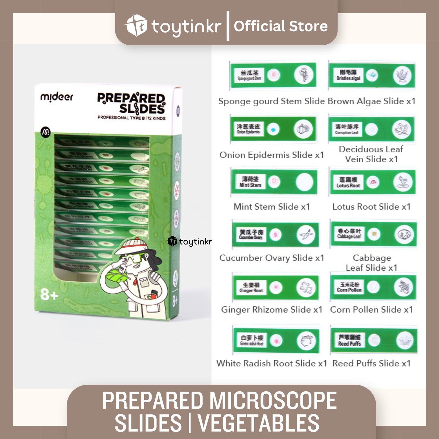 Mideer Prepared Microscope Slides by Toytinkr