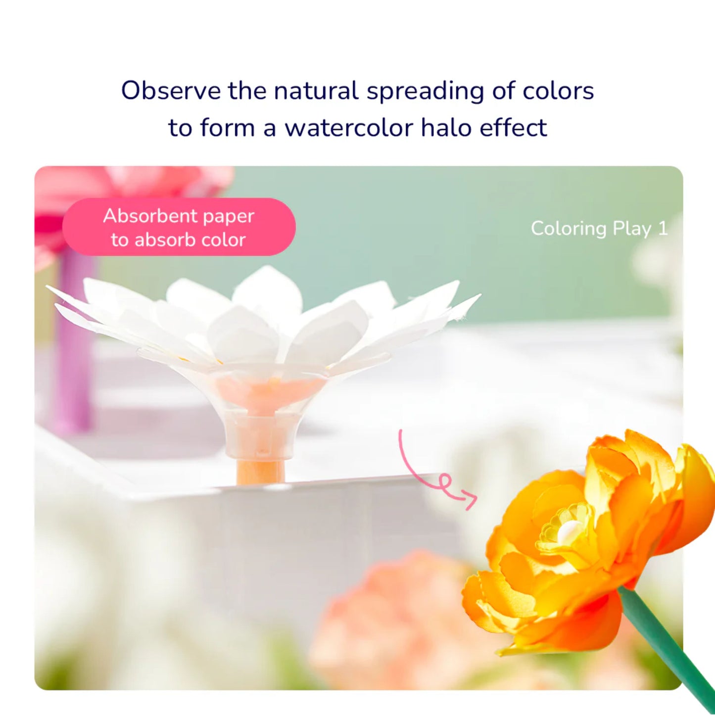 Mideer Magic Dyeing Florist by Toytinkr