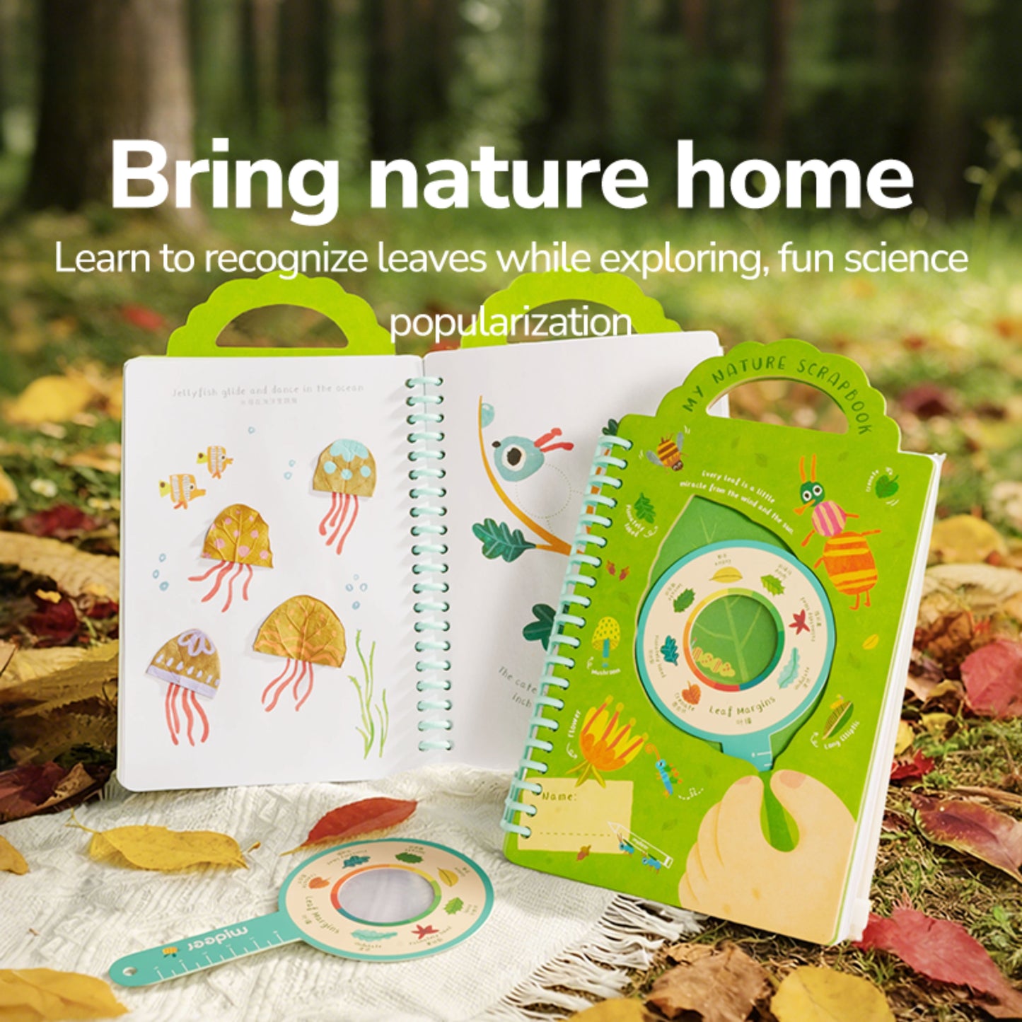 Mideer My Nature Scrapbook by Toytinkr