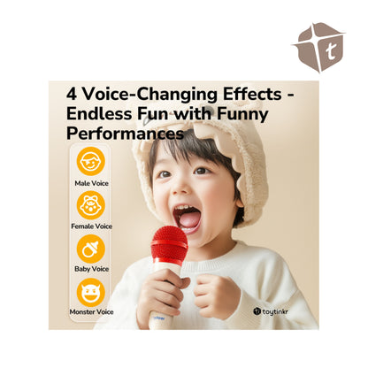 Mideer Let's Sing - Solo Mic Set by Toytinkr