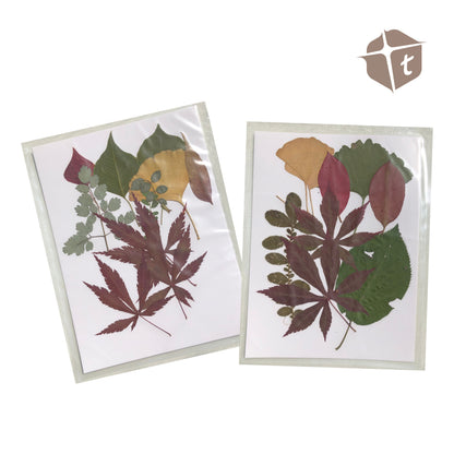Jar Melo Leaf Collage by Toytinkr